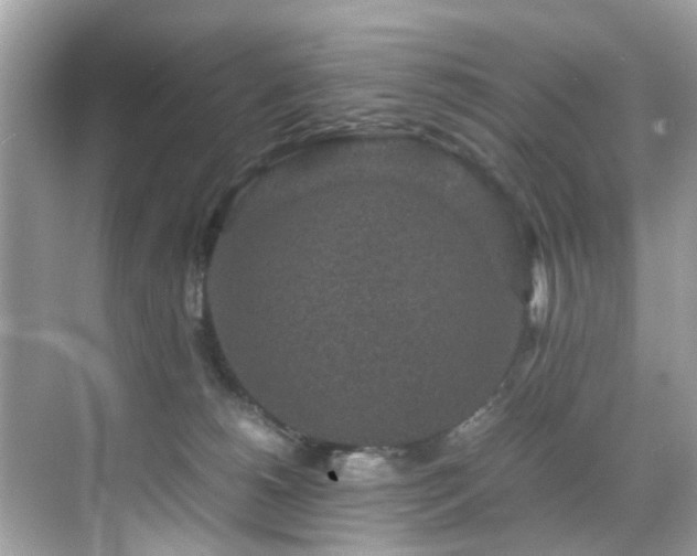 X0000070410180200606121339