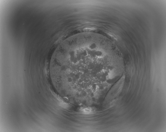 X0000070410181200606121339