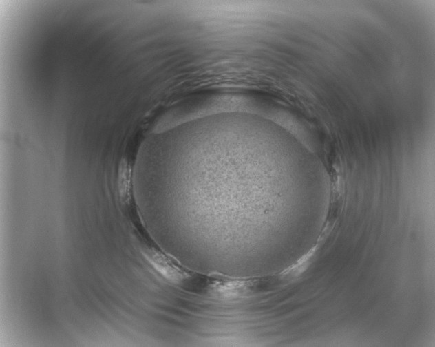 X0000070410186200606121339