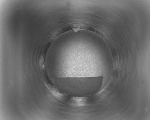 X0000070410187200606121339