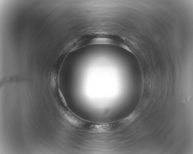 X0000070410188200606121339