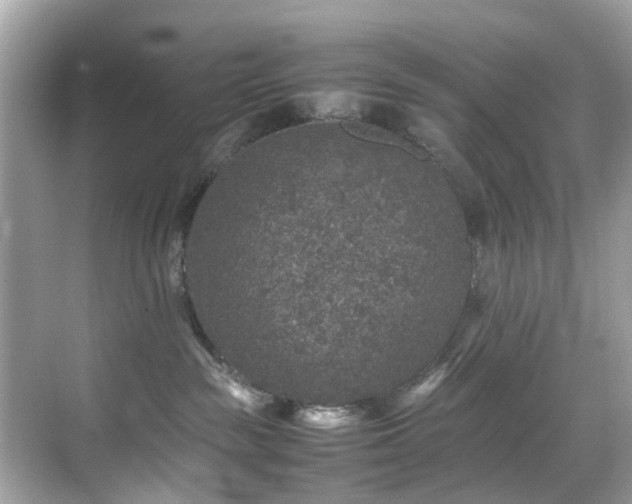 X0000070410189200606121339