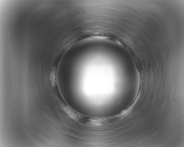 X0000070410190200606121339