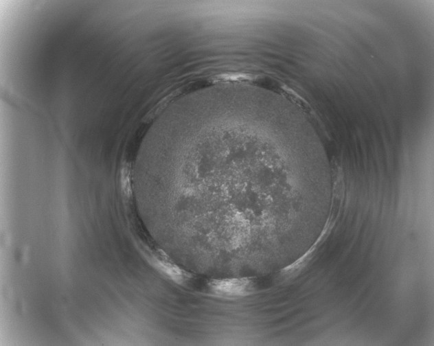 X0000070410191200606121339