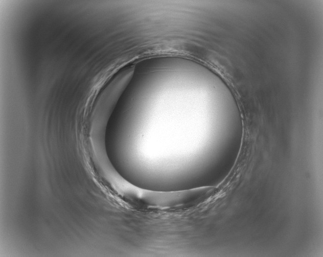 X0000070410193200606121339