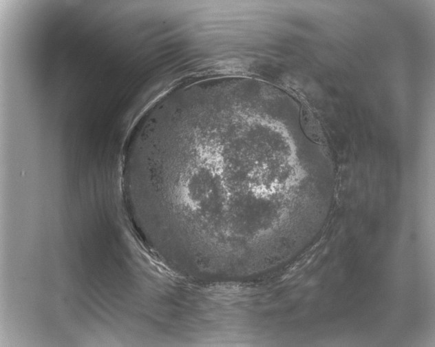 X0000070410194200606121338