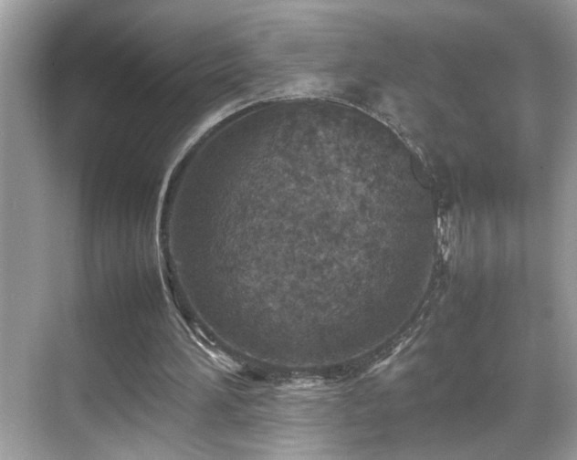 X0000070410196200606121338