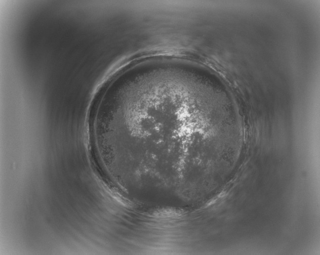 X0000070410198200606121338