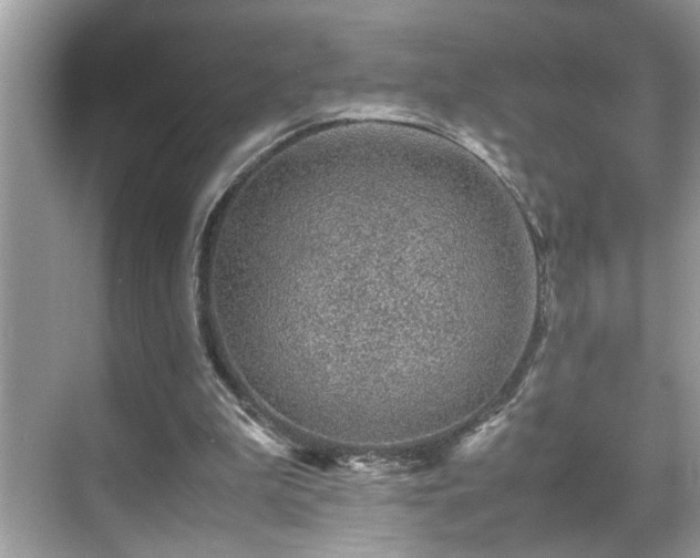 X0000070410199200606121338