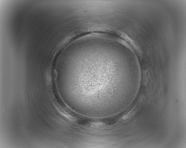 X0000070410203200606121338