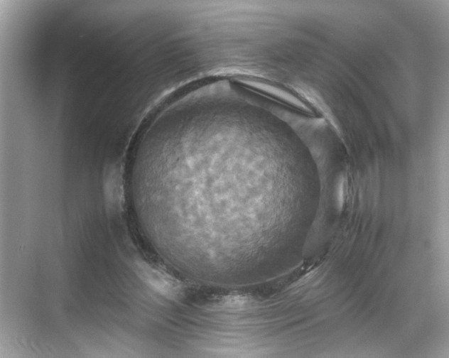 X0000070410204200606121338