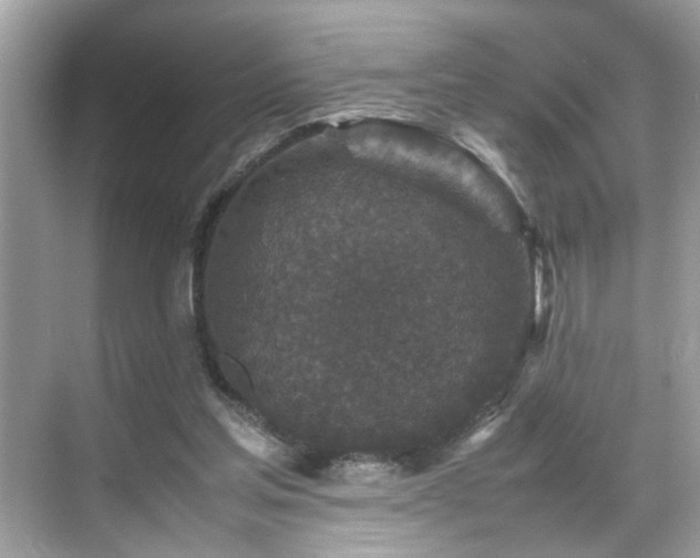 X0000070410205200606121338