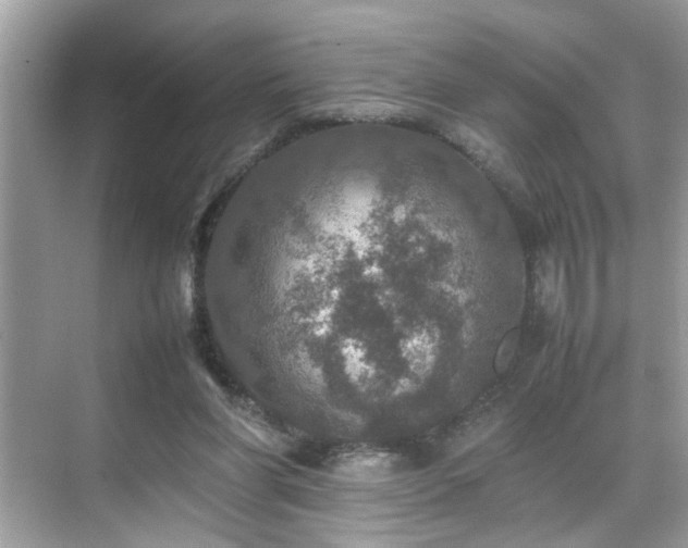 X0000070410206200606121338