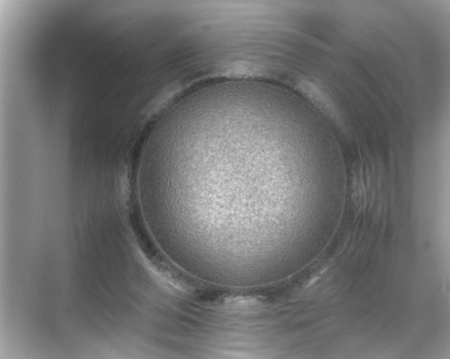 X0000070410208200606121338