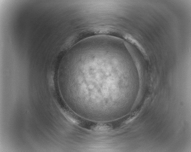 X0000070410209200606121338