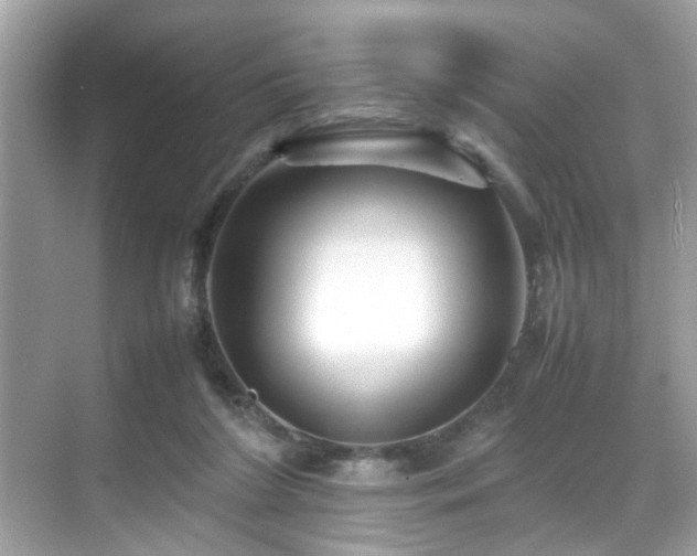 X0000070410212200606121338