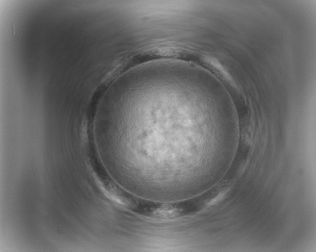 X0000070410213200606121338