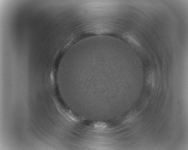 X0000070410214200606121338