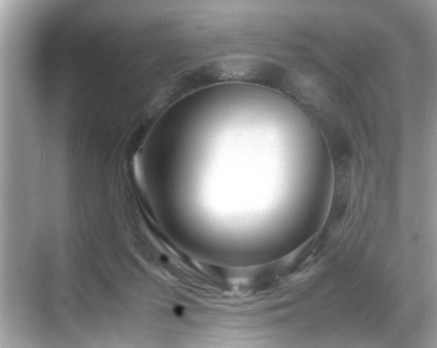 X0000070410215200606121338