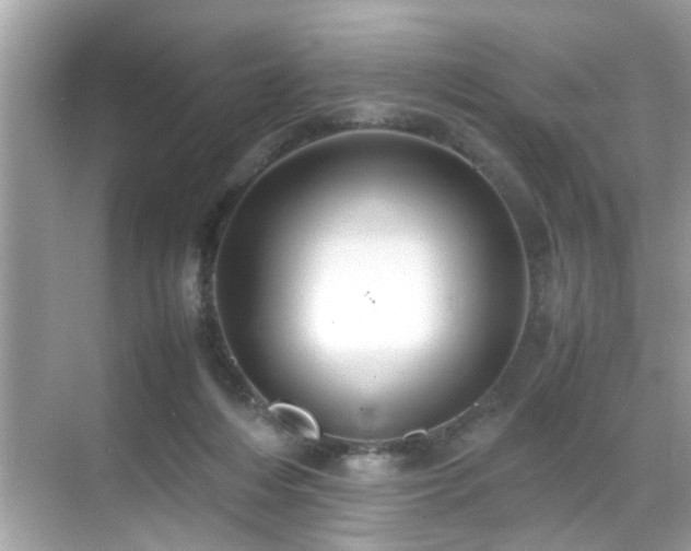 X0000070410216200606121338