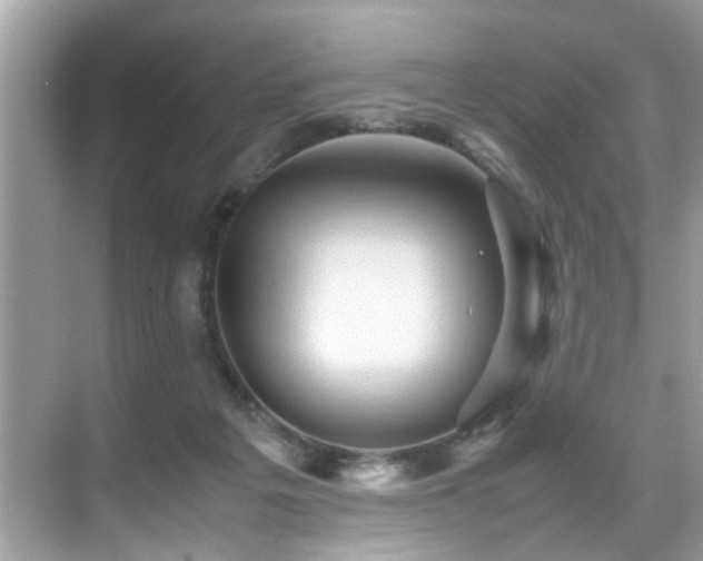 X0000070410217200606121338