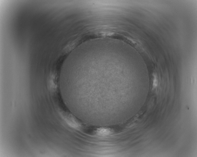 X0000070410218200606121338