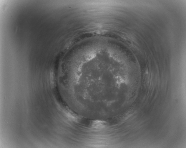 X0000070410222200606121338