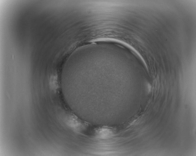 X0000070410224200606121338