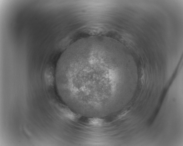 X0000070410226200606121338