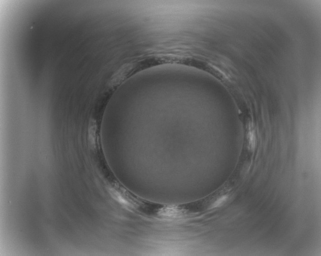 X0000070410231200606121338