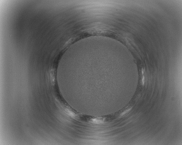 X0000070410232200606121338