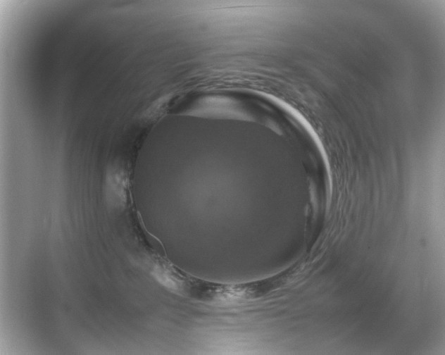 X0000070410235200606121338