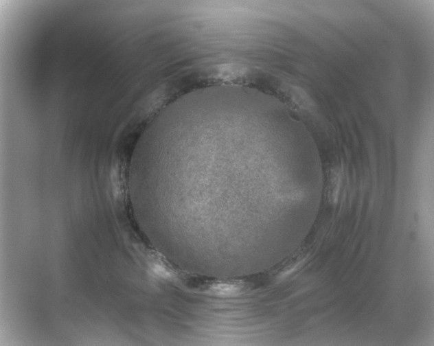 X0000070410236200606121338