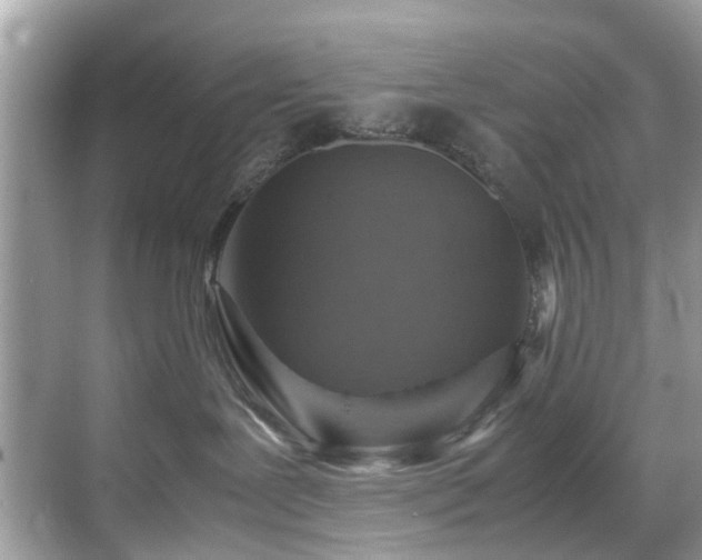 X0000070410239200606121338