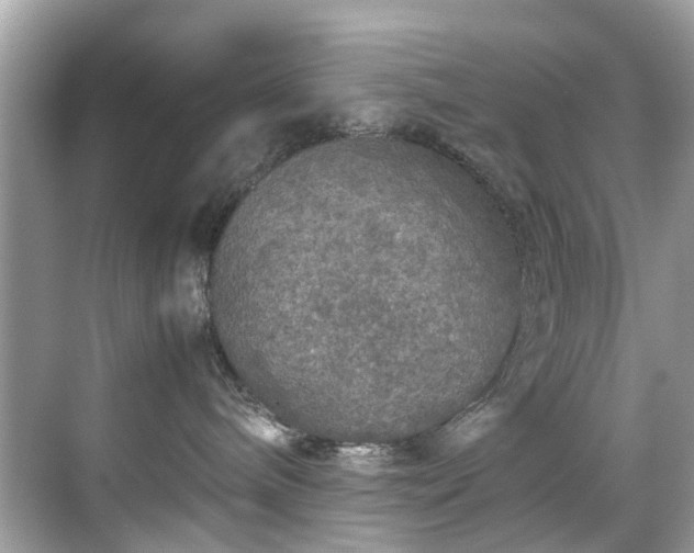 X0000070410240200606121338