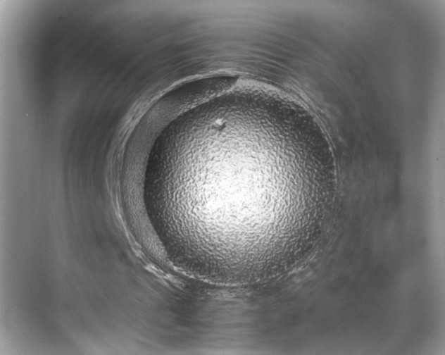 X0000070410241200606121337