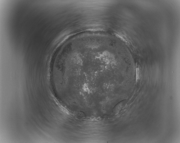 X0000070410243200606121337