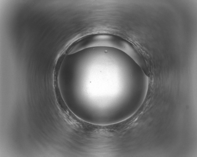 X0000070410244200606121337