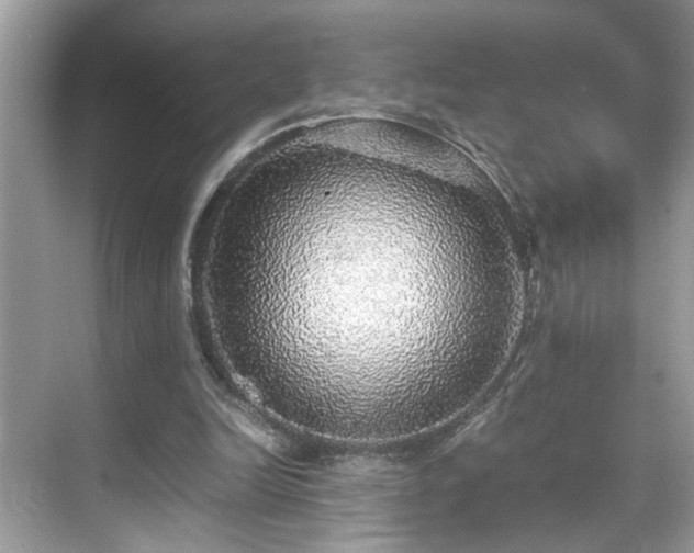 X0000070410246200606121337