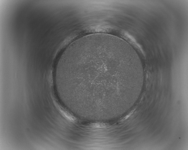 X0000070410250200606121337