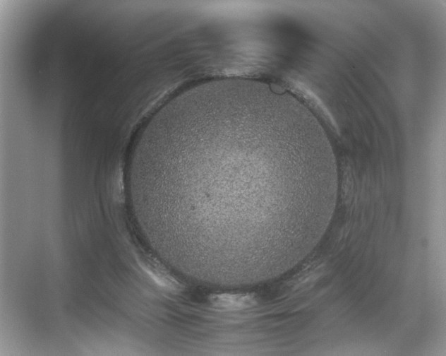 X0000070410251200606121337