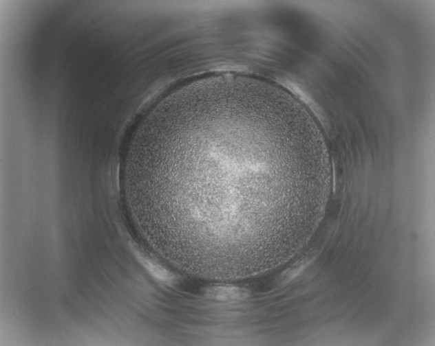 X0000070410253200606121337