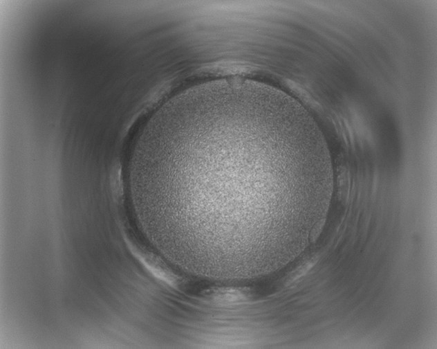 X0000070410254200606121337