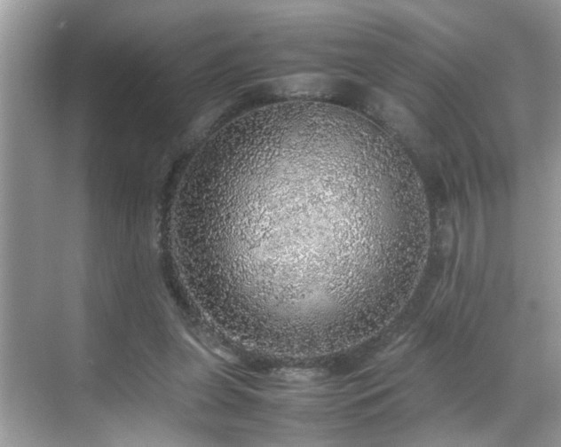 X0000070410255200606121337