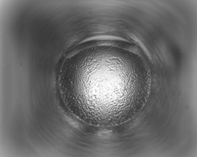 X0000070410257200606121337