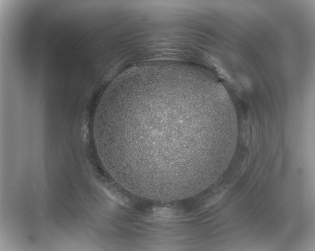 X0000070410259200606121337