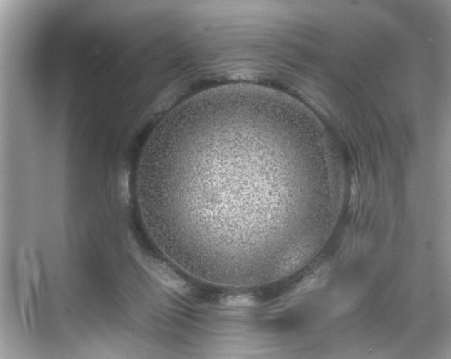 X0000070410262200606121337