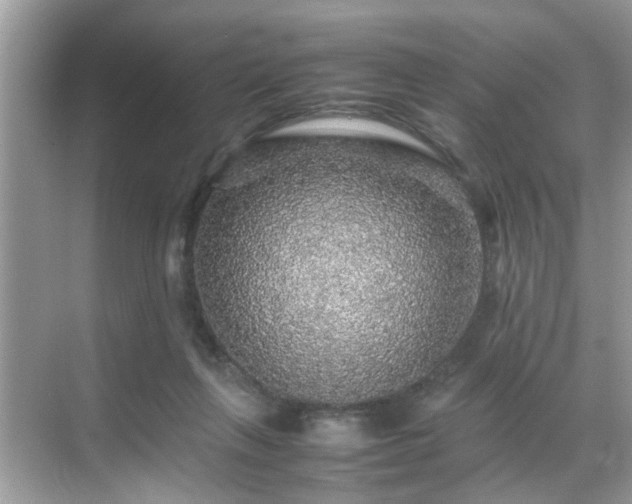 X0000070410263200606121337