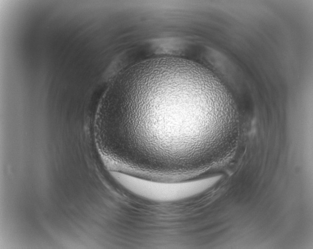 X0000070410265200606121337