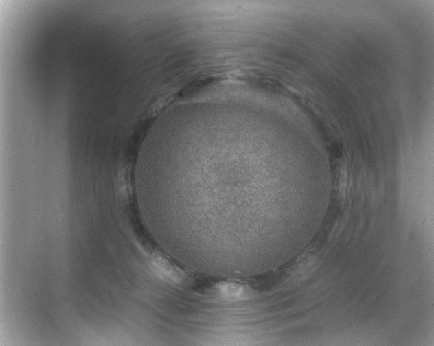 X0000070410272200606121337